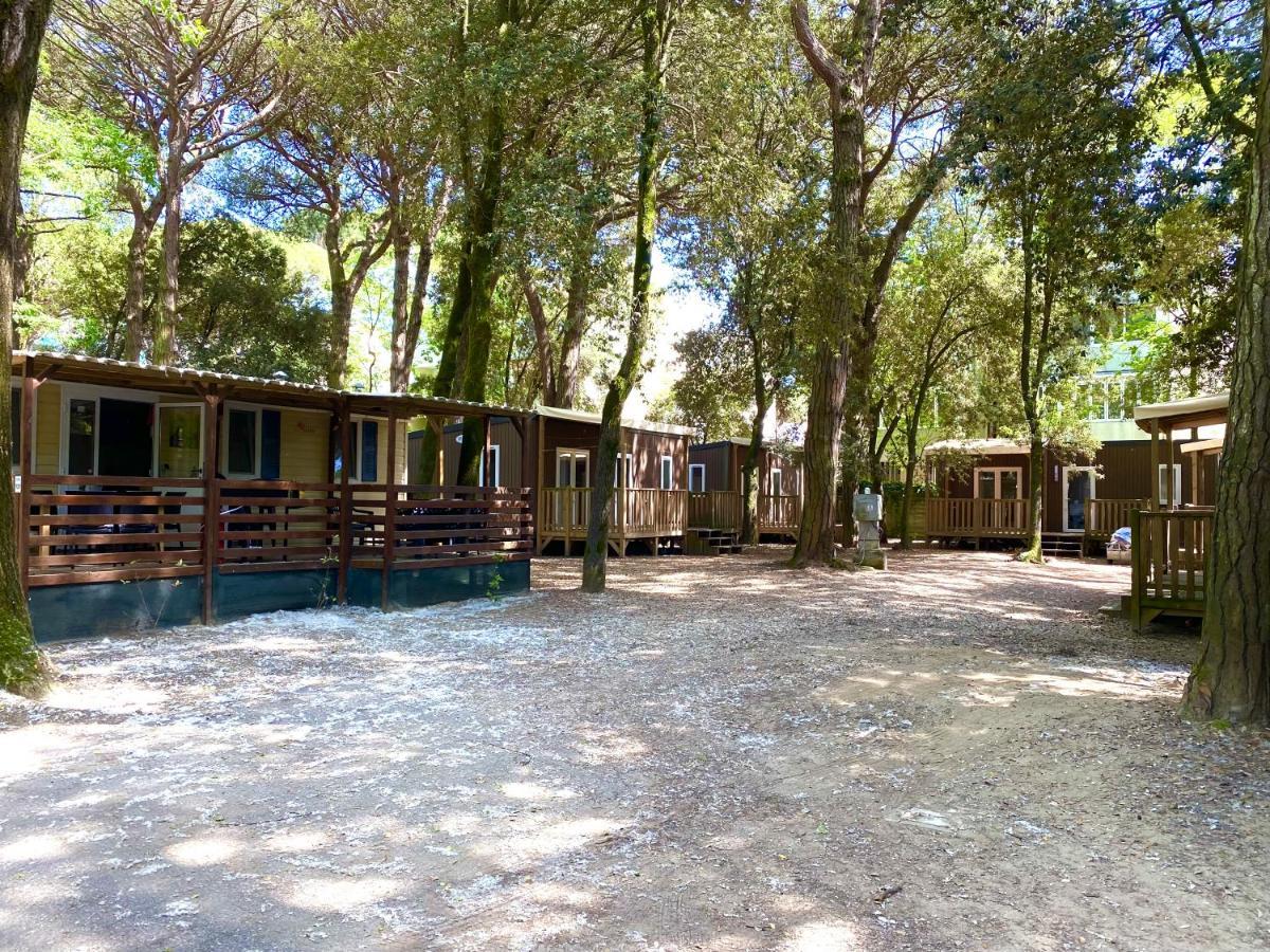 Dena Chalets - Lido Di Spina At The Beach מראה חיצוני תמונה
