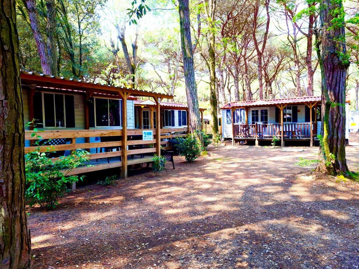 Dena Chalets - Lido Di Spina At The Beach מראה חיצוני תמונה